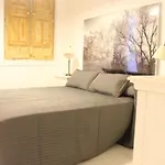 Appartement Amazing